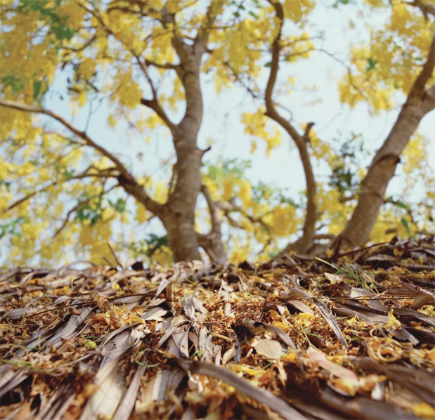 可持续发展是我们的核心