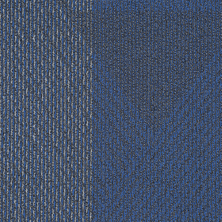 动态-6