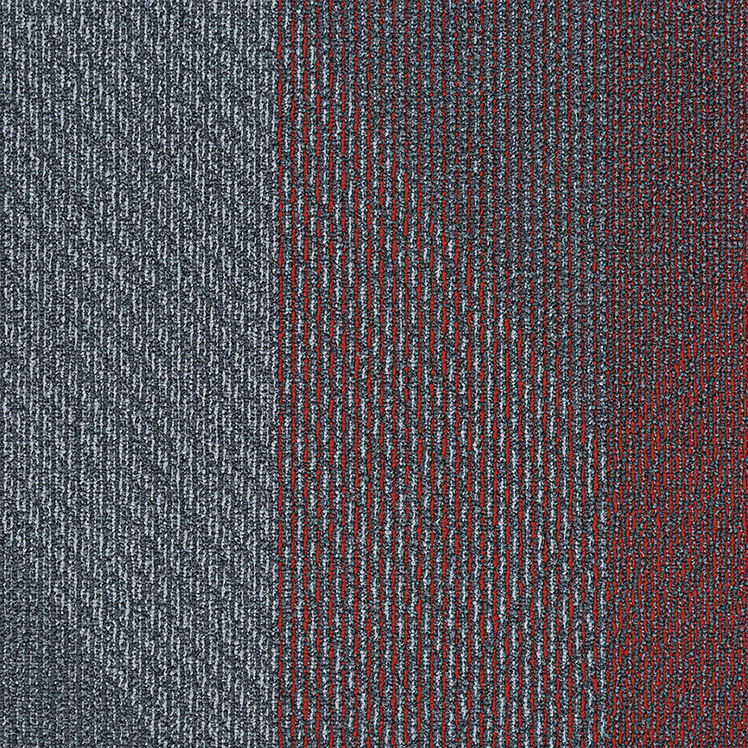 动态-12