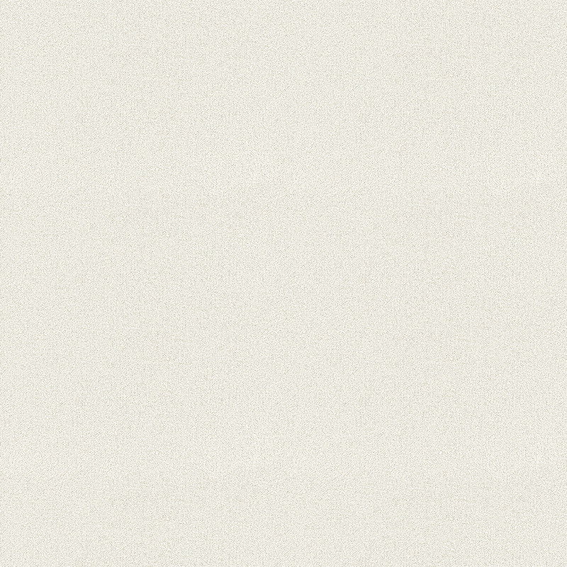 TW448120