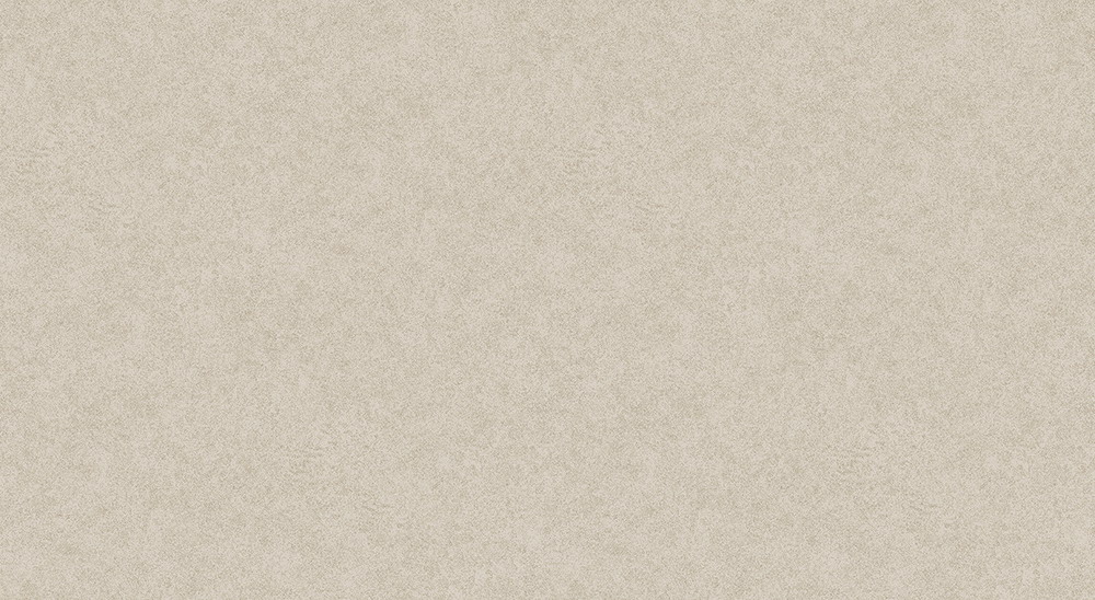 TZ448605
