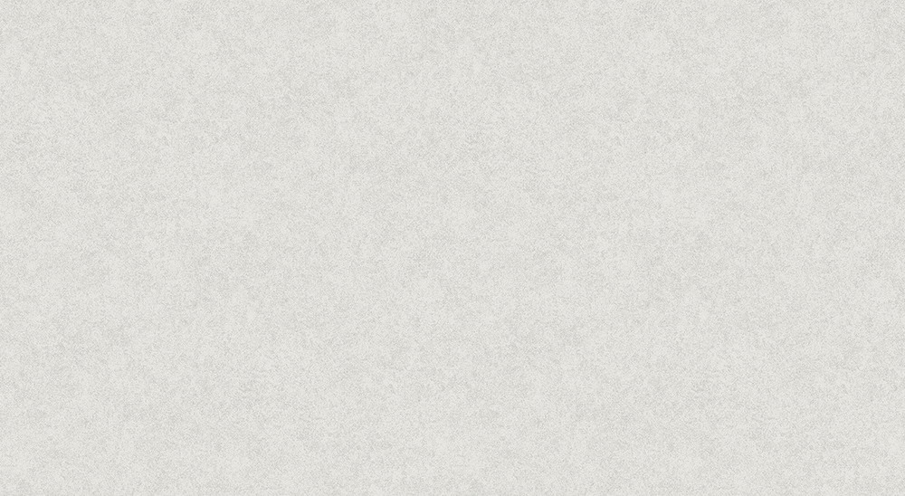 TZ448607