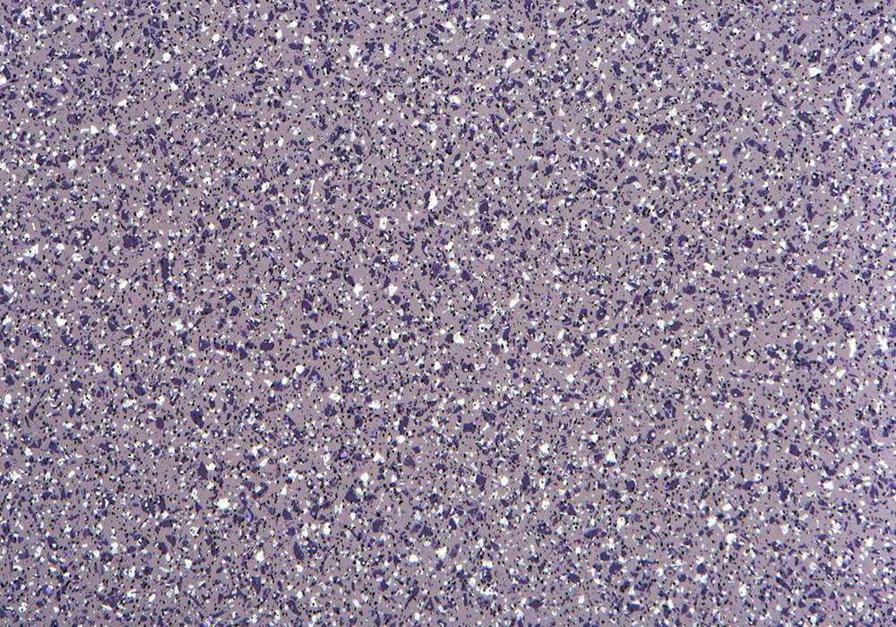 288A2609