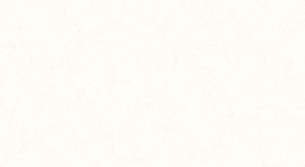 TZ448803