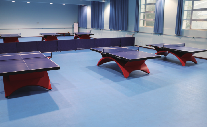 乒乓球场地胶.png
